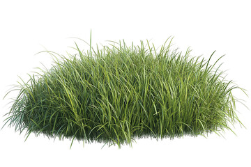 Wall Mural - Lush 3D green grass meadow — high-resolution PNG cutout on transparent background for realistic outdoor landscape and nature design
