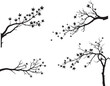 © Pirinda - Tree Branch with Leaves Blowing Off