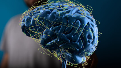 Leinwandbilder - 3D rendered human brain with complex neural network connections.  Perfect for neuroscience, AI, or technology concepts.