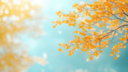Autumn Golden Leaves on Tree Branch with Blue Sky Background