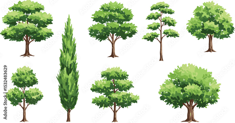 Collection of cartoon green trees with foliage in different shapes ...
