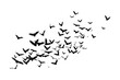 © Valentina Shilkina - Swarm of Bats. flock. Halloween, Cut Out