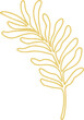 © vectorfusionart - Golden botanical frond is floating in line art style with curved leaflets on transparent background