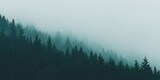 Ethereal forest landscape shrouded in dense fog, capturing moody ambiance