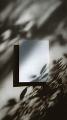 Wall Mural - blank card on neutral paper background with shadow play