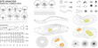 © Supernova - landscape architecture site analysis symbol icon element drawing graphic flat isolated vector. urban design element drawing