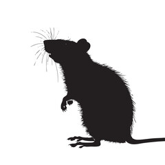 Wall Mural - Rats silhouette isolated in White background