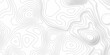 © haven lklkj11 - The patter discovery vector topo map creative discovery White wave grid stripe line map topography. vector geographic contour mounted map background.