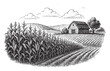 © tarakacraft - Cornfield Farm Landscape with Barn and Rolling Hills in Vintage Engraving Style.