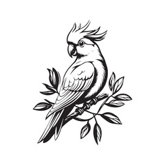 parrot vector silhouette, cute parrot sitting on a tree branch vector illustration isolated on white