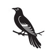© Kamrunnahar - Elegant Cuckoo Bird Bird Silhouette Perched on a Branch - Minimalist Vector Art