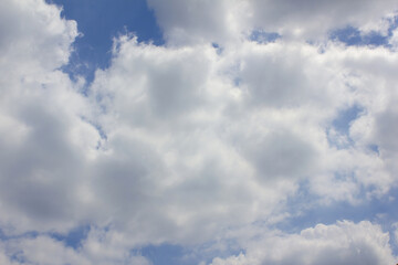 Wall Mural - blue sky with puffy clouds