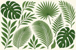 © NanieStudio - Set of tropical leaves illustration. Collection of exotic green jungle foliage. Monstera, palm, and fern leaves isolated on white background. Botanical vector design elements.