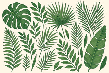 set of hand drawn tropical leaves in a vintage engraving style. collection of exotic jungle foliage 