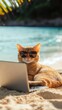 © Koja - This adorable ginger cat is enjoying a sunny day at the beach, wearing stylish sunglasses while typing on a laptop, encapsulating the perfect fusion of work and leisure in a serene setting.