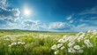 © Neon Stock - Ultra quality image of green spring meadow with nature field grass in summer under sunny sky sun shining on flowers garden landscape fresh day floral daisy and blue outdoor herb.