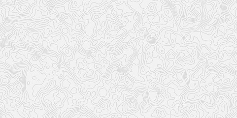 modern white and grey wavey line topography minimalist contour map design featuring  and suitable for artistic purposes.