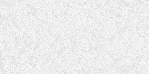 modern white and grey wavey line topography minimalist contour map design featuring  and suitable for artistic purposes.