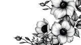 Elegant anemone flowers and leaves in black and white isolated on white background