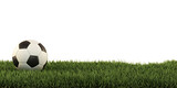 soccer ball on green grass 3d-illustration