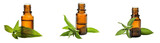 Three amber bottles with essential oils surrounded by fresh green leaves, suggesting natural remedies or aromatherapy.