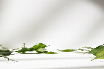 Wall Mural - abstract white color studio background for product presentation. empty room with shadows of window a