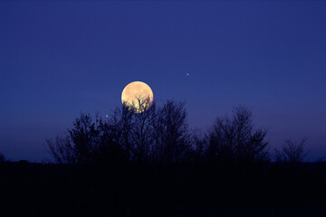 Canvas Print - full moon, stars, planets and landscape scenery silhouettes.