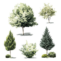 Wall Mural - trees and shrubs in watercolor illustration set. landscape architecture and green space design colle