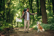 © standret - Doing the tricks by using stick. Man tourist is with his dog in the forest