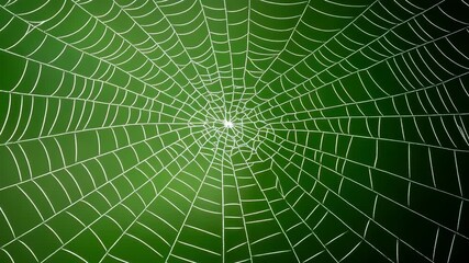 Spider web close up with intricate white thread forming circular pattern on green blurred background, showcasing natural design, delicate texture, and natures web structure.