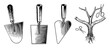 © Rysak - Vector Gardening tools including trowels a ruler and pruning shears are displayed as detailed illustrations.