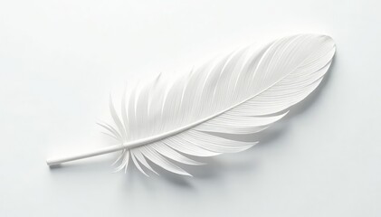 Wall Mural - Crisp white feathers on seamless white background, design, photography, peaceful