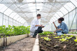 © if - Man wearing white lab coat conducting agricultural research with clipboard in greenhouse, observing young African woman holding test tube and soil samples, scientific farming and teamwork.
