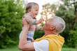 © sementsova321 - A happy grandfather holds a laughing baby up in the air, both looking at each other with pure joy outdoors in a lush green park.