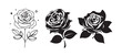 © MDABDUR - Black roses flowers silhouette set vector drawing.Floral beautiful wedding element.Set of rose with leaves. vector illustration eps 10.