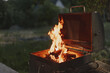 © SHOTPRIME STUDIO - BBQ grill with flames in a backyard setting, showcasing summer cooking, outdoor dining, and vibrant fire colors, perfect for gatherings and barbecues