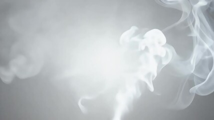 Wall Mural - Realistic alpha channel footage white smoke gently drifting transparent background suitable VFX overlays cinematic productions