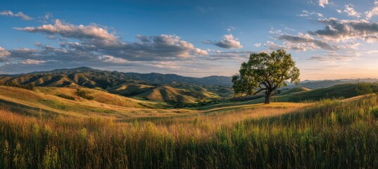 Panoramic sunset view of rolling hills, grasslands, and a solitary tree under a partly cloudy sky