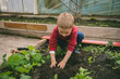 © Wavebreak Media - Male child wearing rubber boots kneeling and digging soil in greenhouse raised bed with seedlings