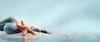 © A. Dudy - Minimalistischer Hintergrund mit Seestern am Strand