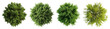 © Rawpixel.com - PNG Lush green tree tops, element set on transparent background