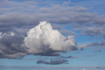 Wall Mural - fluffy white clouds on the sky.