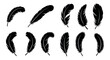 © Ophelia - Collection of black feather silhouettes for design elements and decoration vector illustration