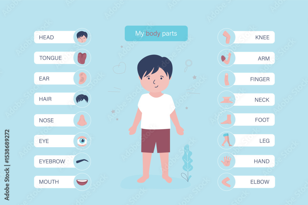 Little child with marked and named organs. Human body anatomy
