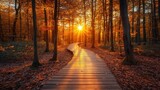 Golden autumn path through a vibrant forest at sunset