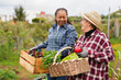 © Sabrina - Happy multiracial senior women having fun during harvest period in the garden - Female farmer friends picking up organic vegetables