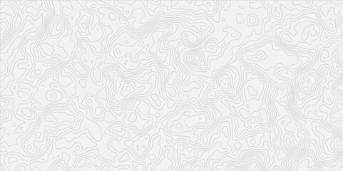 contour wavey out line style topo map seamless concept topographic decorative georaphic line surface white light topographic design. 