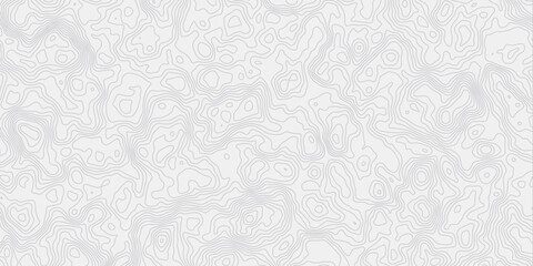 modern white and grey wavey curve line contour map design featuring  topography minimalist white background.