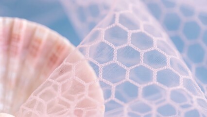 Seashell and delicate lace fabric create a soft textured pattern