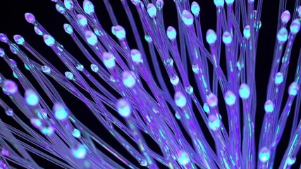 glowing fiber optic cable. Information flows through wires. Technology and information transfer concept. Modern violet blue color spectrum. 4K